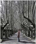Somewhere_in_time